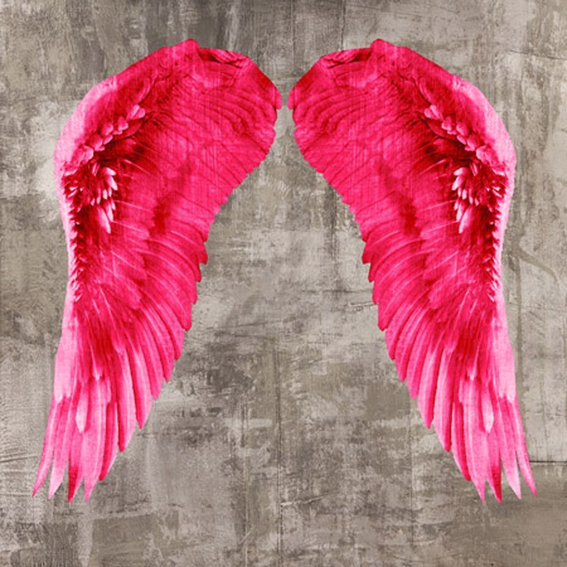 Joannoo - Angel Wings VI