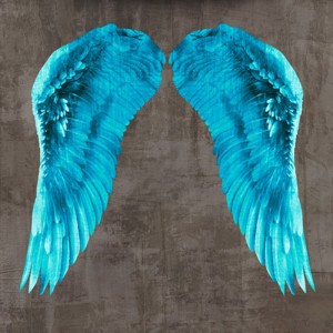 Joannoo - Angel Wings V
