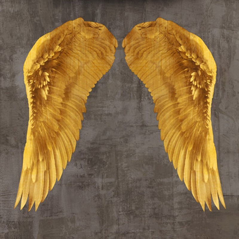 Joannoo - Angel Wings I