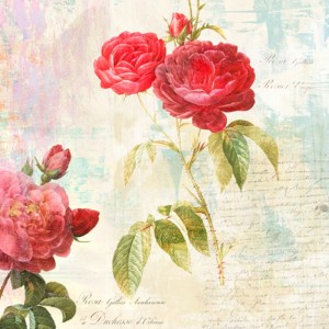 Eric Chestier - Redouté's Roses 2.0 - II
