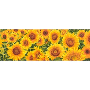 Luca Villa - Field of Sunflowers