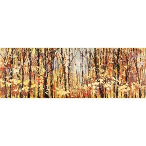 Lucas - Nel bosco assolato
