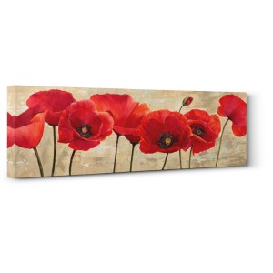Cynthia Ann - Red Poppies
