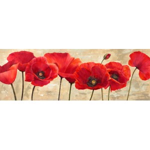 Cynthia Ann - Red Poppies
