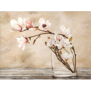 Cristina Mavaracchio - Fiori di magnolia