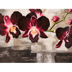 Shin Mills - Velvet Orchids
