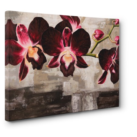 Shin Mills - Velvet Orchids