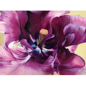 Luca Villa - Purple tulip close-up