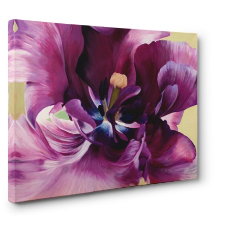Luca Villa - Purple tulip close-up
