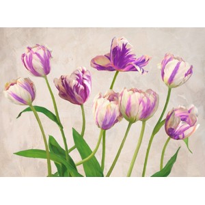 Jenny Thomlinson - Tulipes