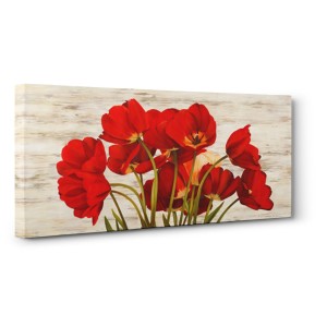 Serena Biffi - French Tulips