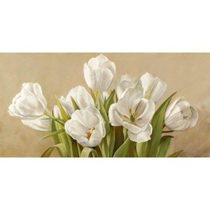 Serena Biffi - Tulipani bianchi