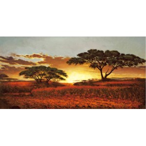 Madou - Memories of Serengeti