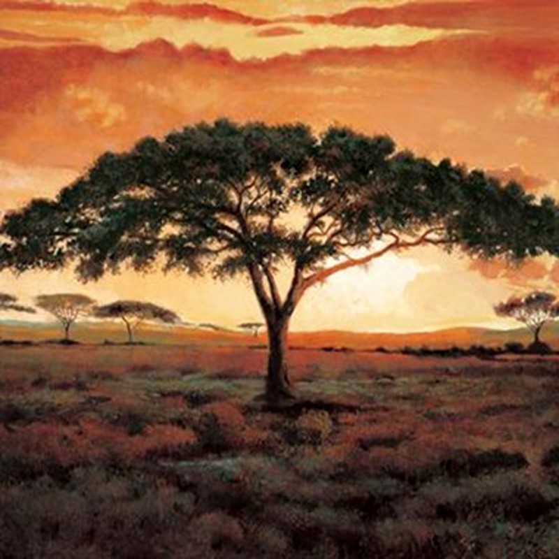 Madou - Masai Tree