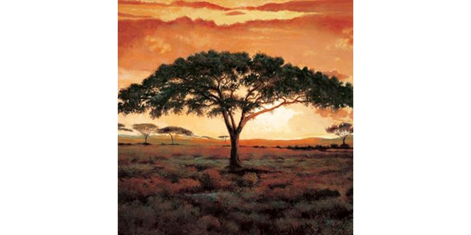 Madou - Masai Tree