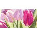 Leonardo Sanna - Tulipes