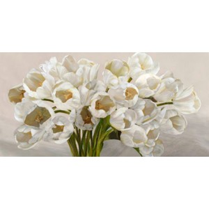 Leonardo Sanna - Tulipes blanches