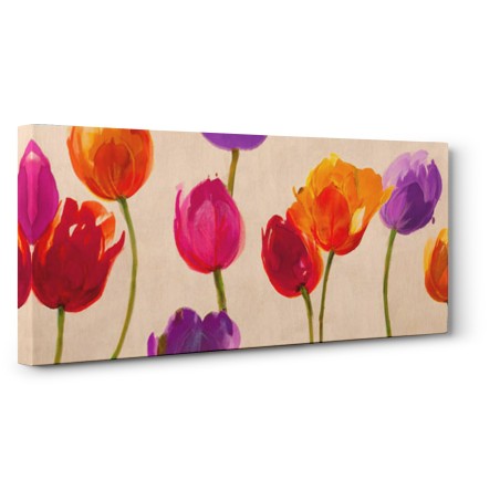 Luca Villa - Tulips & Colors