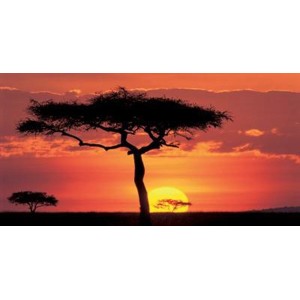 James Urbach - Masai Mar Plains, Kenya