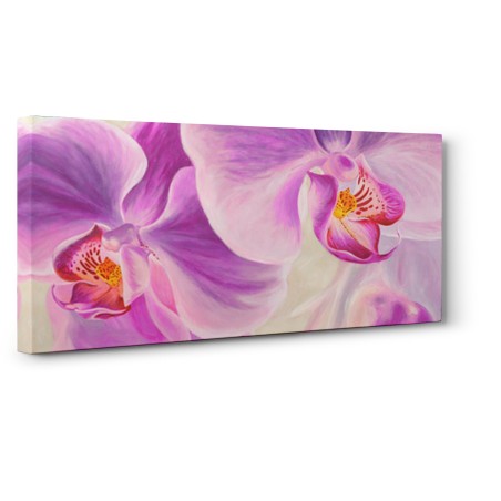 Cynthia Ann - Purple Orchids