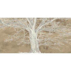 Alessio Aprile - White Oak