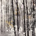 Lucas - Bosco I