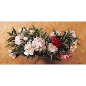 A.Susana - White and red peonies