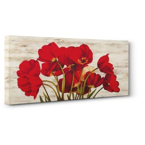 Serena Biffi - French Tulips