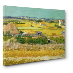 Vincent Van Gogh - De oogst