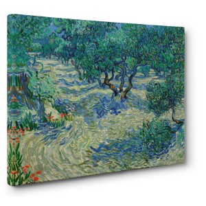 Vincent Van Gogh - Olive Orchard