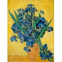 Vincent Van Gogh - Irises