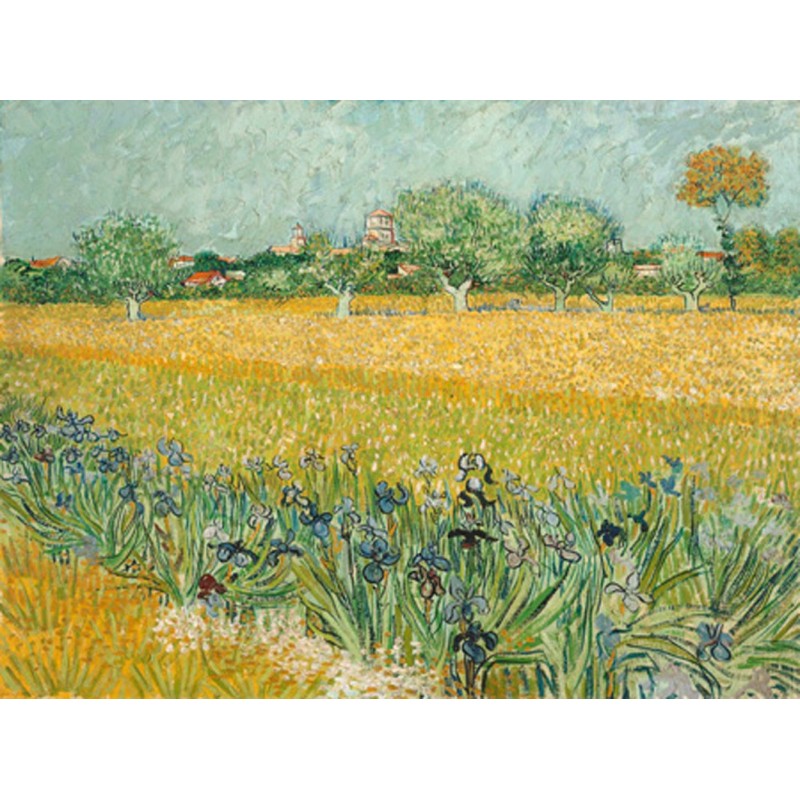 Vincent Van Gogh - Field with Irises near Arles