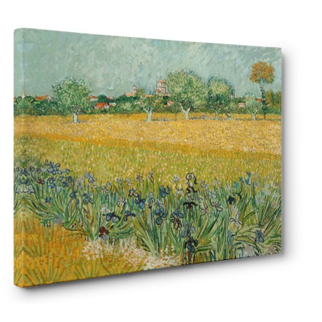 Vincent Van Gogh - Field with Irises near Arles