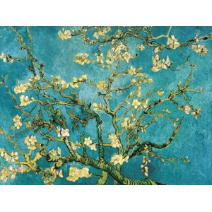 Vincent Van Gogh - Mandorlo in fiore