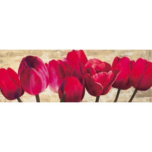Cynthia Ann - Red Tulips