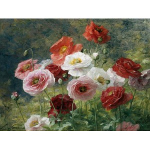 Louis Marie Lemaire - Poppies