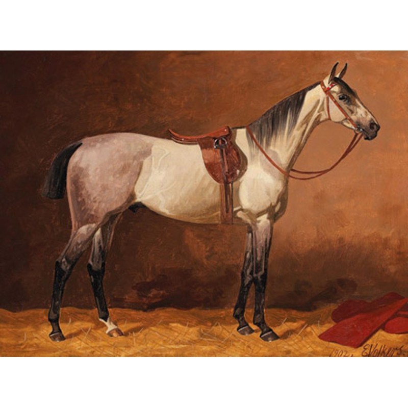 Emil Volkers - Saddled sport horse