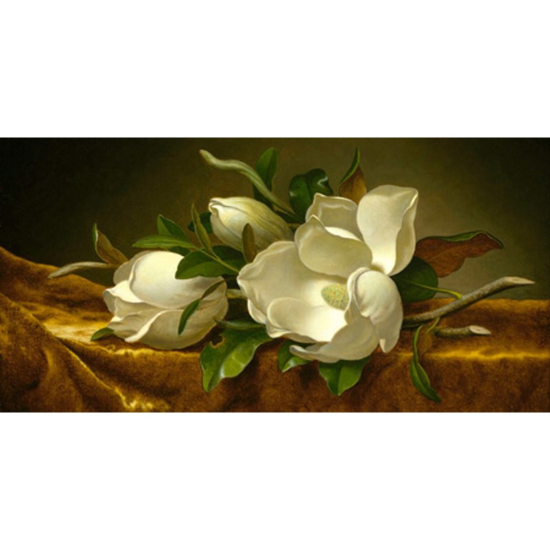 Martin Johnson Heade - Magnolias on Gold Velvet Cloth
