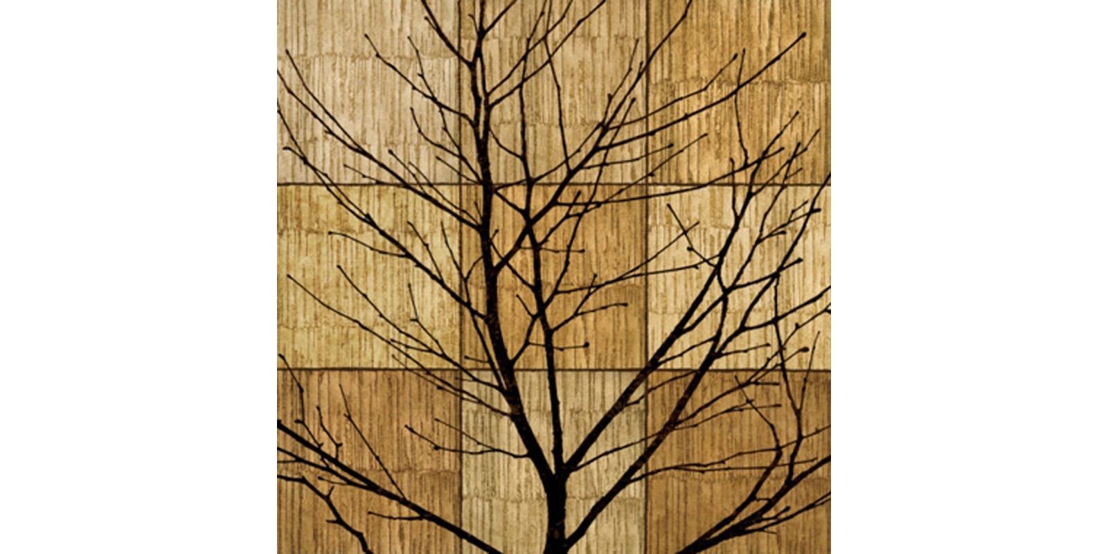 Chris Donovan - Tree Silhouette II