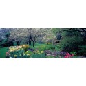 Richard Berenholtz - Country garden, Old Westbury Gardens, Long Island
