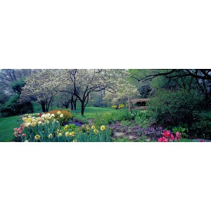 Richard Berenholtz - Country garden, Old Westbury Gardens, Long Island