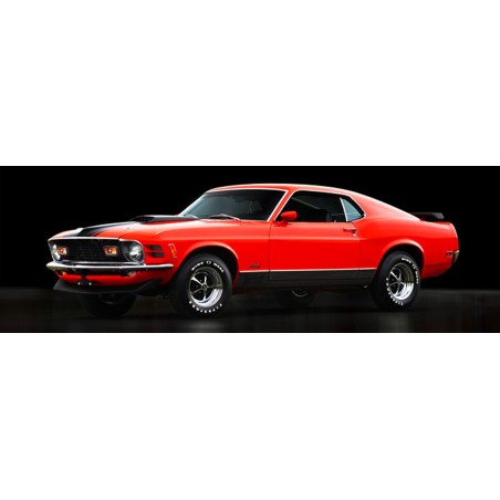 Gasoline Images - Ford Mustang Mach 1