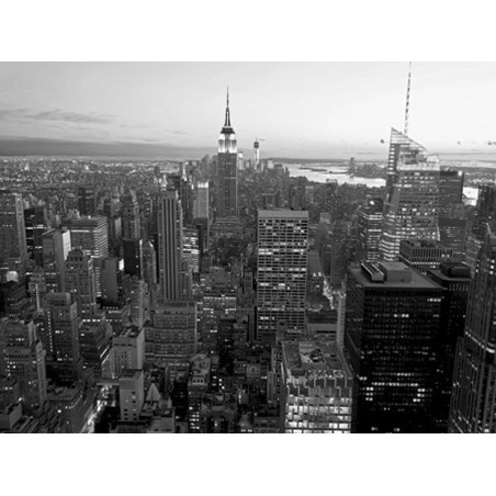 Vadim Ratsenskiy - Skyline of Midtown Manhattan, NYC
