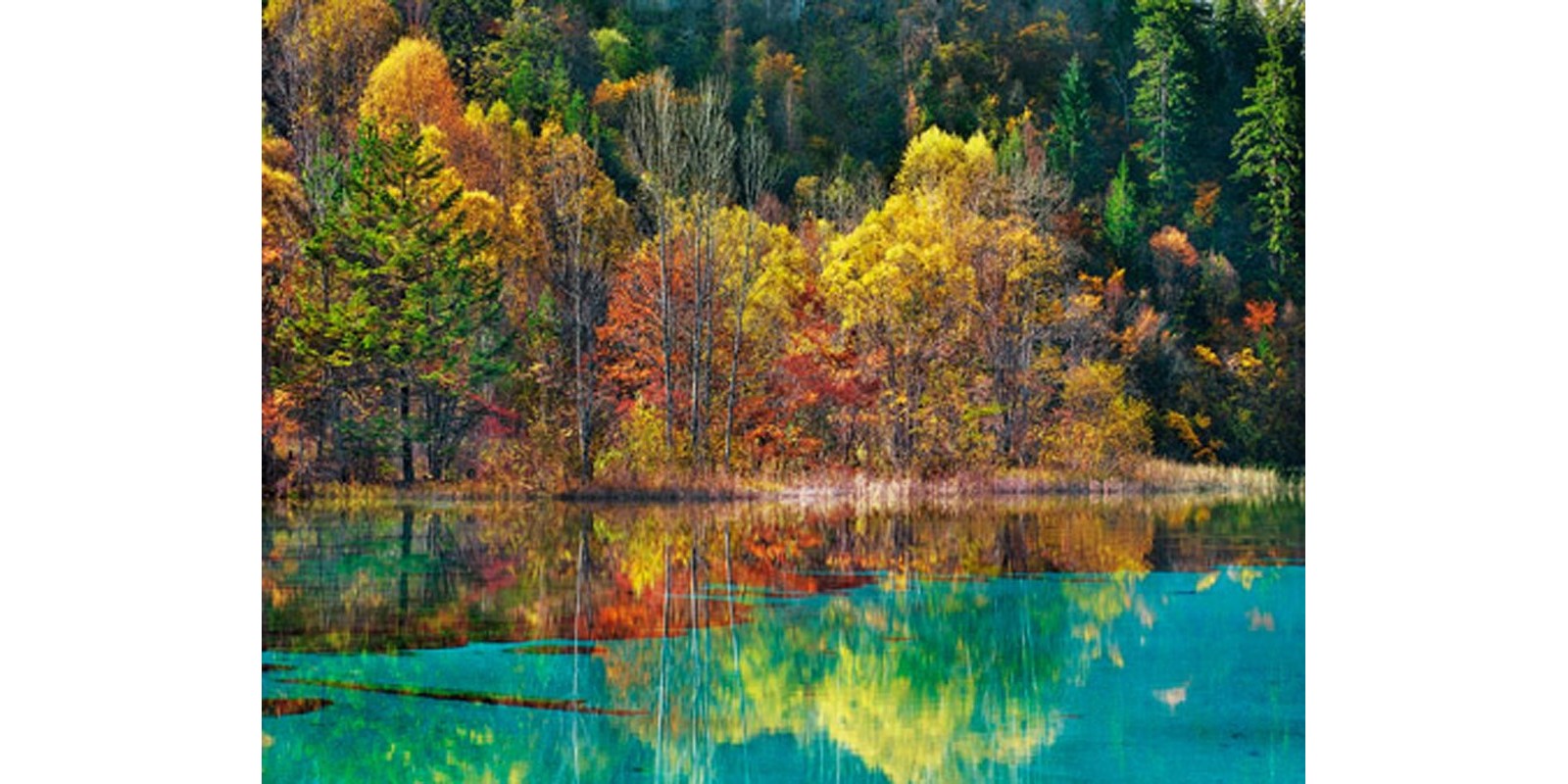 Frank Krahmer - Forest in autumn colours, Sichuan, China