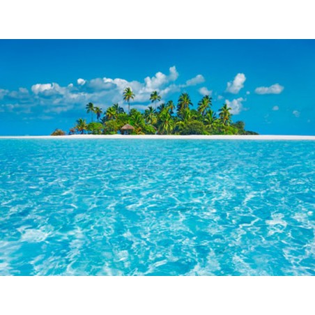 Frank Krahmer - Tropical lagoon with palm island, Maldives