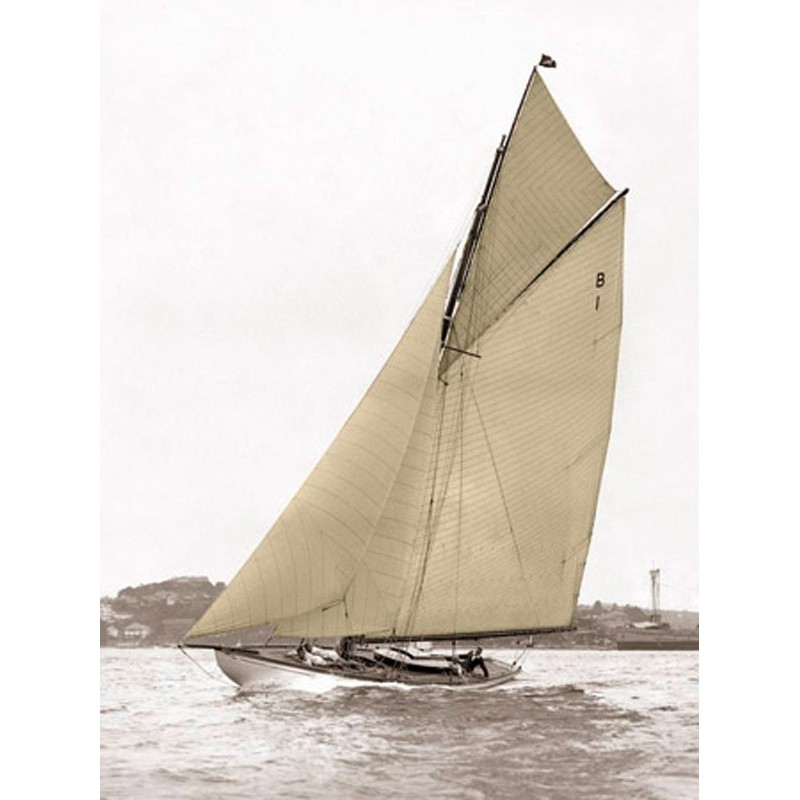 Anonymous - Victorian sloop on Sydney Harbour