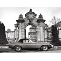 Gasoline Images - Vintage sports-car 1