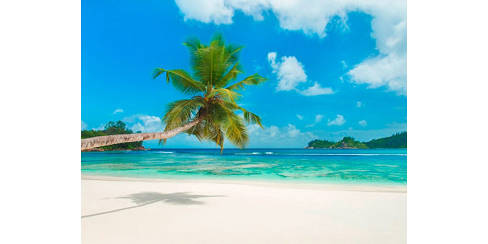 Anonymous - Tropical beach, Seychelles (detail)
