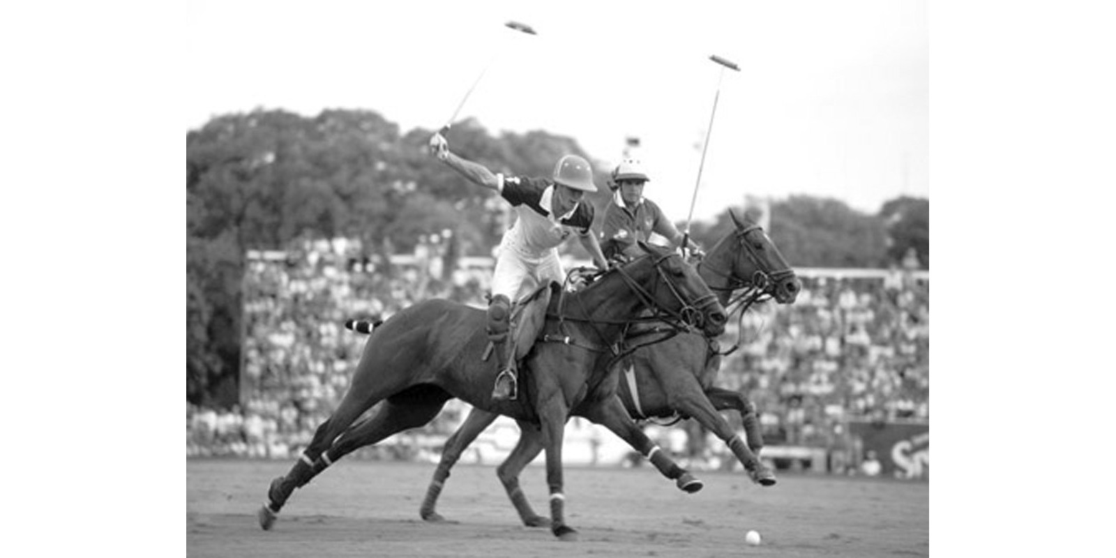 Anonymous - Polo players, Argentina