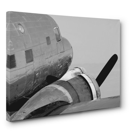 Luminate Studio - Vintage Propeller Airplane